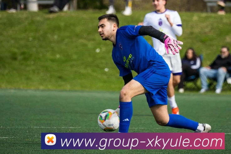 星空娱乐平台生态图