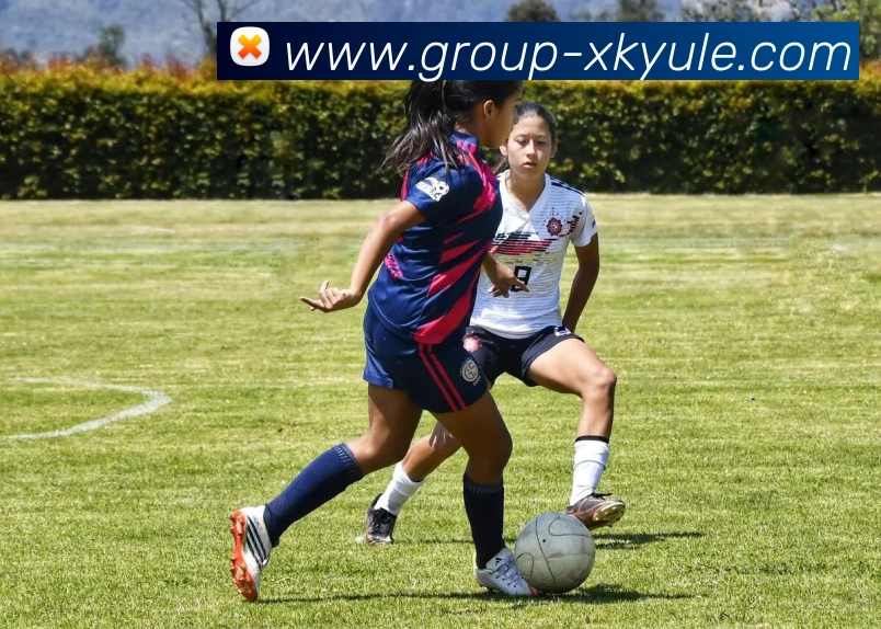 数据防护可视化