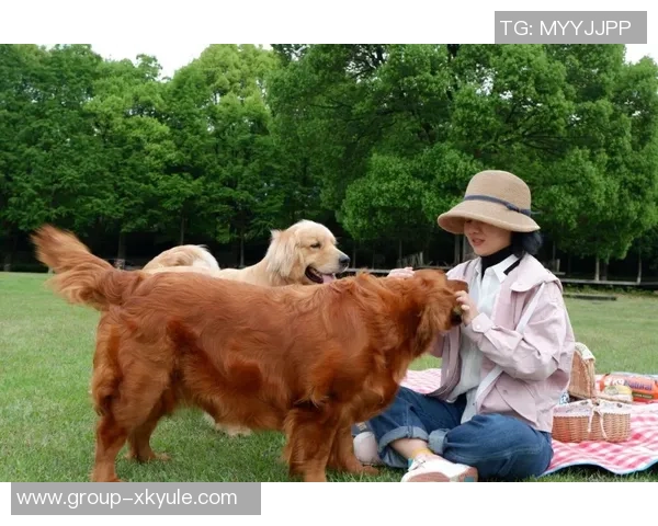 张伯霖分享摇篮舞庆祝喜讯家中爱犬迎来两只可爱小狗出生